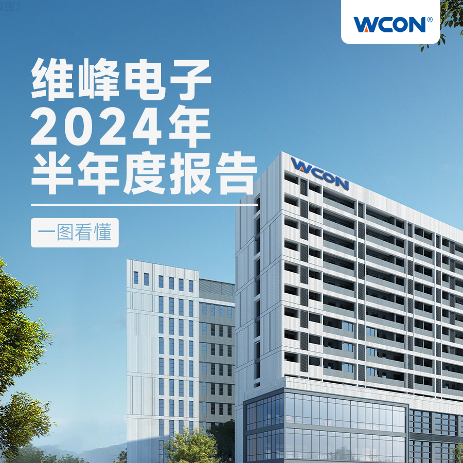 2024年半年報(bào)